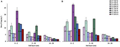 Crops' Yield and Roots Response to Soil Phosphorus Distribution Resulting From Long-Term Soil and Phosphate Fertilization Management Strategies